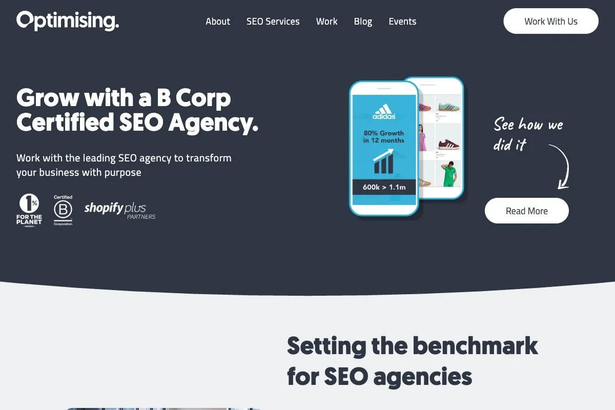 Screenshot of Optimising